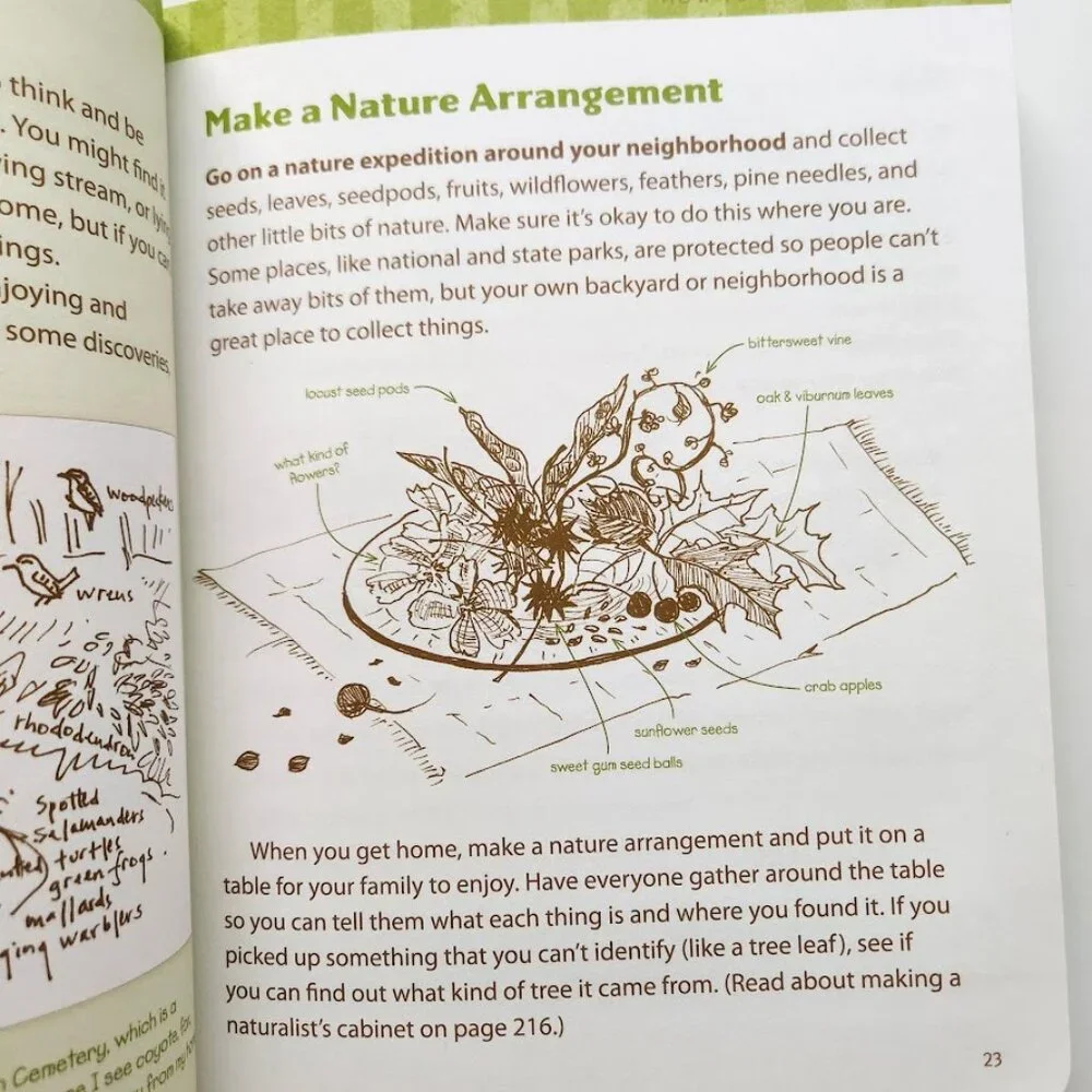 The Nature Connection Outdoor Workbook for Kids, Families, and Classrooms Clare